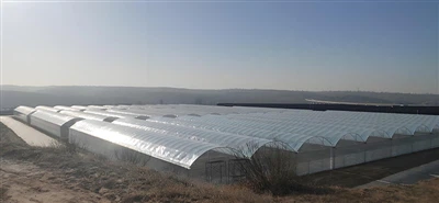 Чому покриття для теплиць з поліетилену (Pe) краще, ніж покриття з полівінілх...