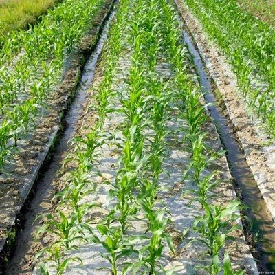 Пластикова плівка для мульчування